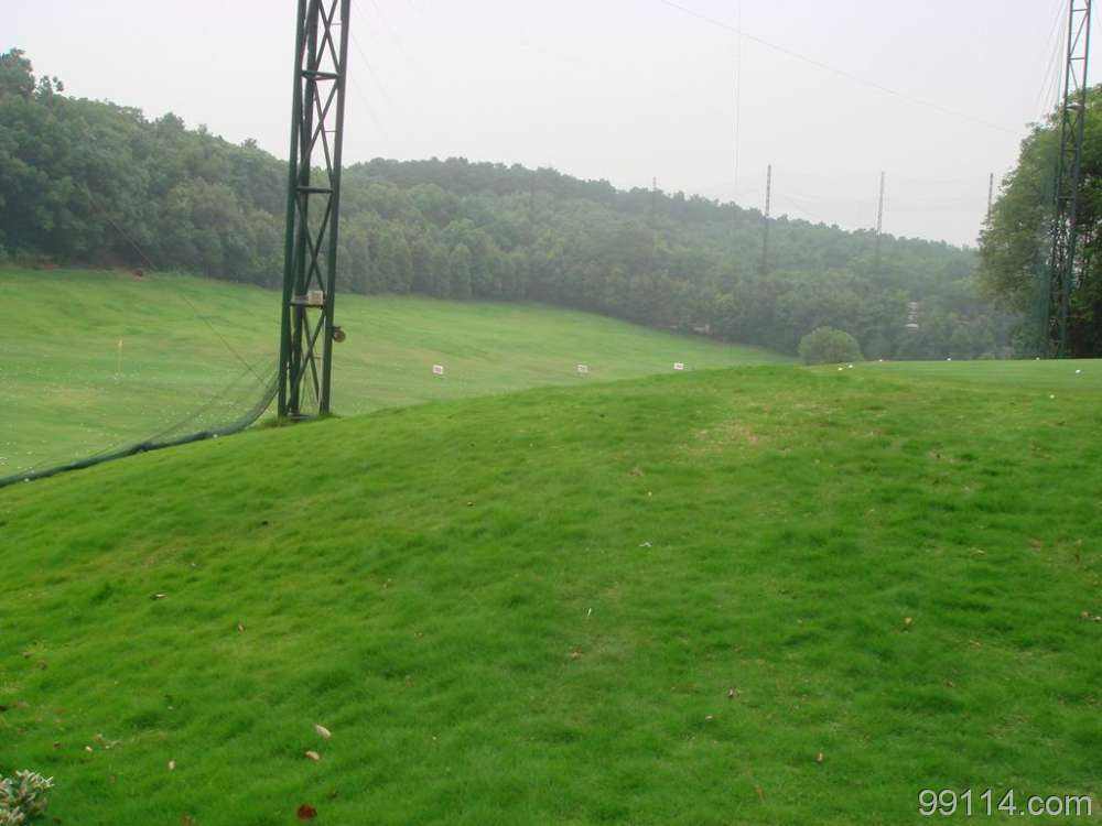 噴漿護坡多少錢一平方 ，掛網(wǎng)噴漿護坡報價，噴漿護坡工程