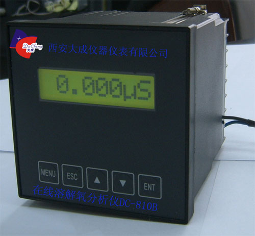 在線溶解氧分析儀DC-810B