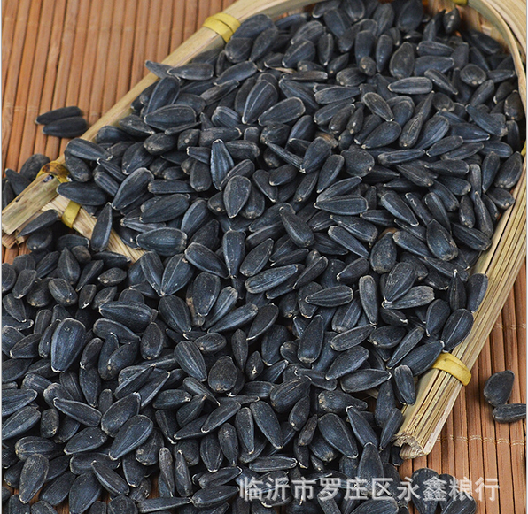 油葵批發(fā)優(yōu)質油葵種子榨油小黑瓜子寵物鴿糧*黑瓜子五谷雜糧 舉報