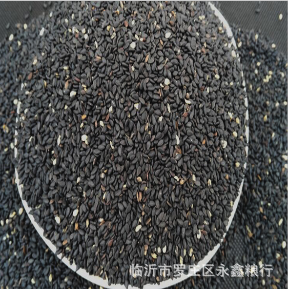熟黑芝麻 批發(fā)炒熟黑芝麻批發(fā) 精選優(yōu)質(zhì)磨粉*炒制黑芝麻五谷雜糧