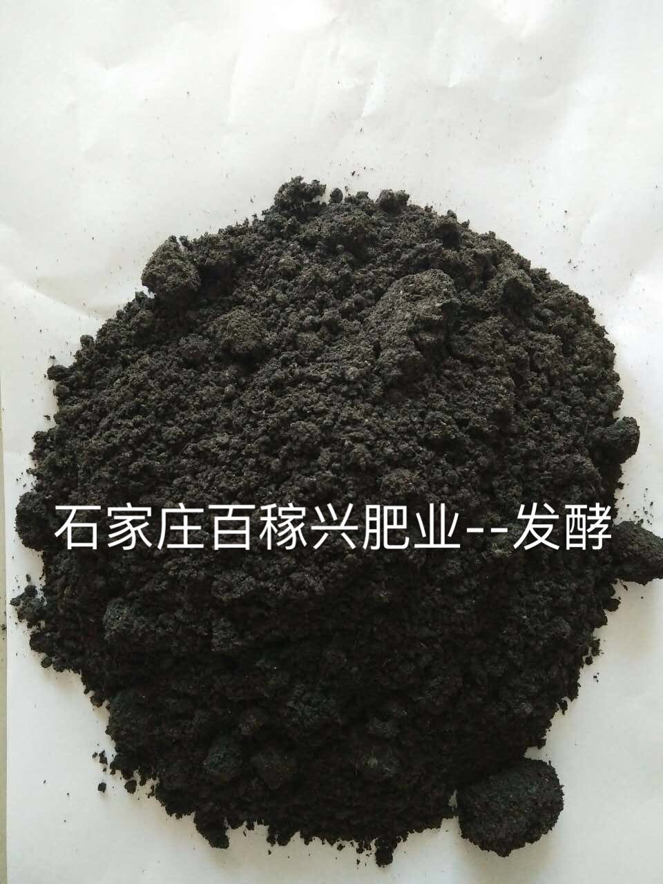 純羊糞  發(fā)酵羊糞有機肥