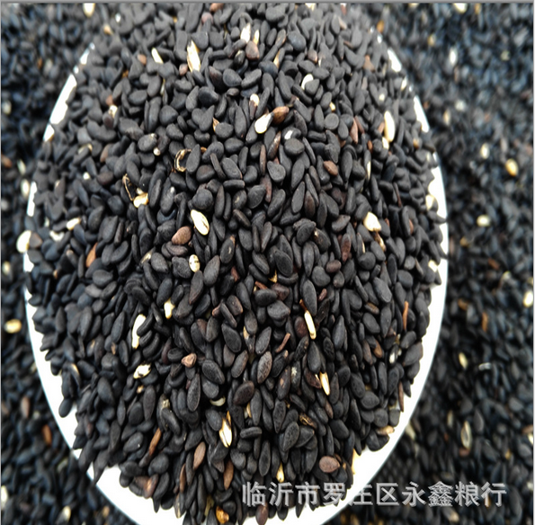 熟黑芝麻 批發(fā)炒熟黑芝麻批發(fā) 精選優(yōu)質(zhì)磨粉*炒制黑芝麻五谷雜糧