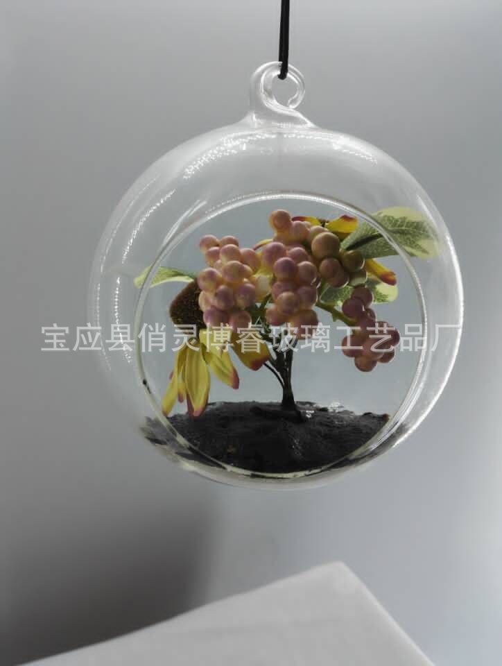 廠家批發(fā) 透明球罩 玻璃球罩 防爆球罩 微景觀瓶旁洞玻璃圓球罩