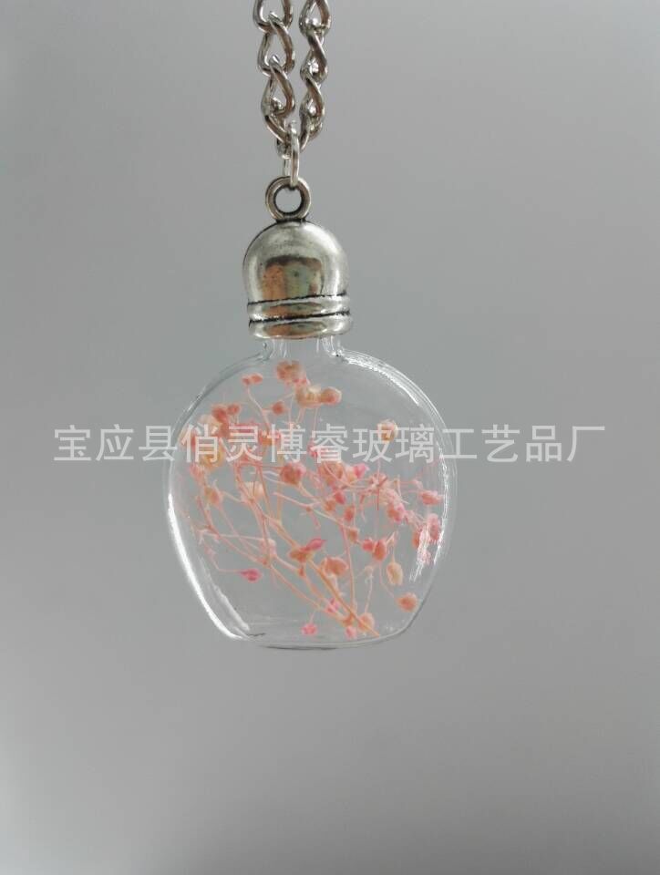 廠家直銷 韓版項(xiàng)鏈 創(chuàng)意漫天星干花系列 玻璃瓶吊墜 可定制