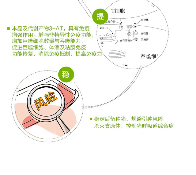 牛點(diǎn)三妙湯  針對呼吸道疾病一針*