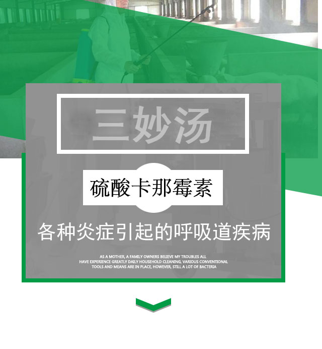 牛點(diǎn)三妙湯  針對呼吸道疾病一針*