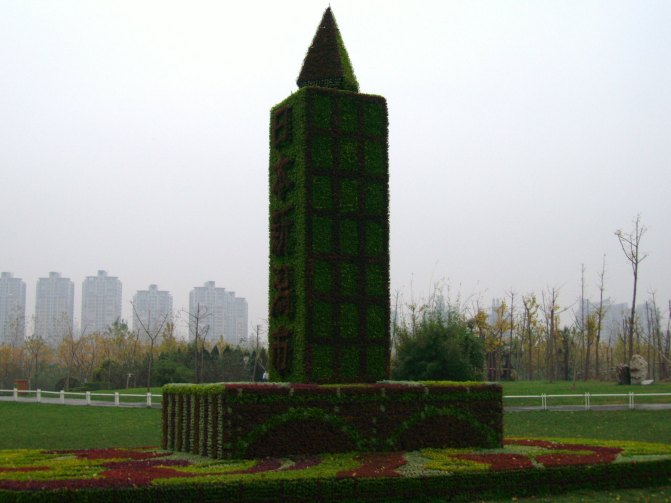 開封新園五色草造型-- 開封新園五色草造型--鋼琴造型