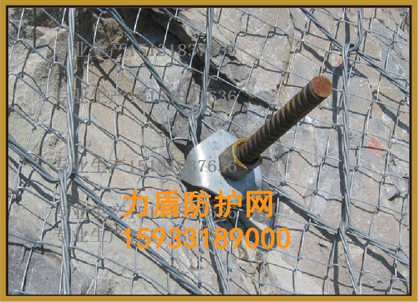 GSS2A絞索網(wǎng)專業(yè)廠家