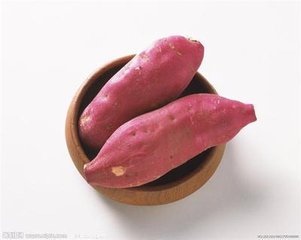 供應(yīng)紅薯廠家代收  河南紅薯批發(fā)價格 河南紅薯代收 河南紅薯*