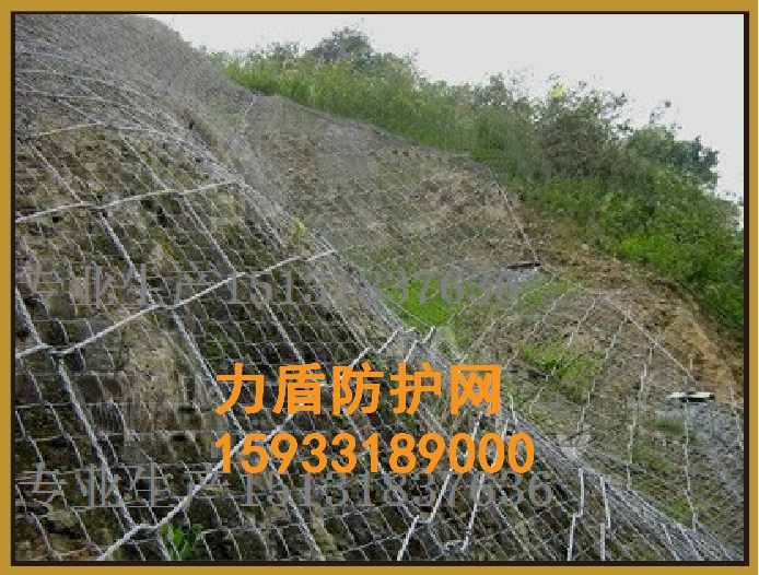 絞索網(wǎng)廠家* 絞索網(wǎng)價(jià)格