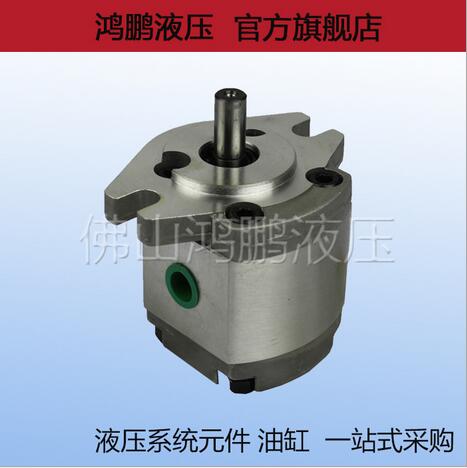 升降臺(tái)液壓齒輪泵 液壓齒輪泵供應(yīng)商 液壓齒輪泵廠家 液壓齒輪泵批發(fā)商 液壓齒輪泵報(bào)價(jià) 供應(yīng)液壓齒輪泵