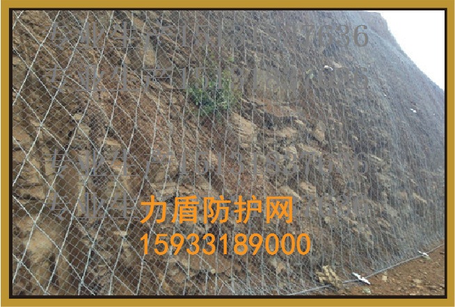 GSS2A絞索網(wǎng)專業(yè)廠家