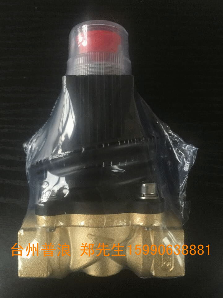 燃?xì)饩o急切斷電磁閥 燃?xì)馇袛嚯姶砰y