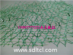三維植被網(wǎng)廠家 三維植被網(wǎng) 三維植被網(wǎng)價格  甘肅三維植被網(wǎng)