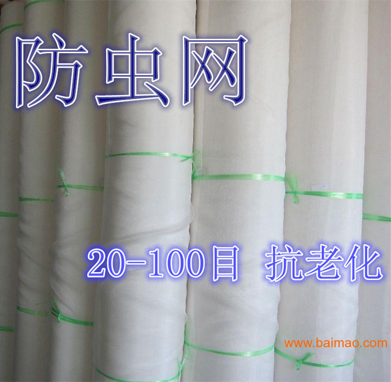 廠家熱銷園林蔬菜園藝花卉加密網(wǎng)