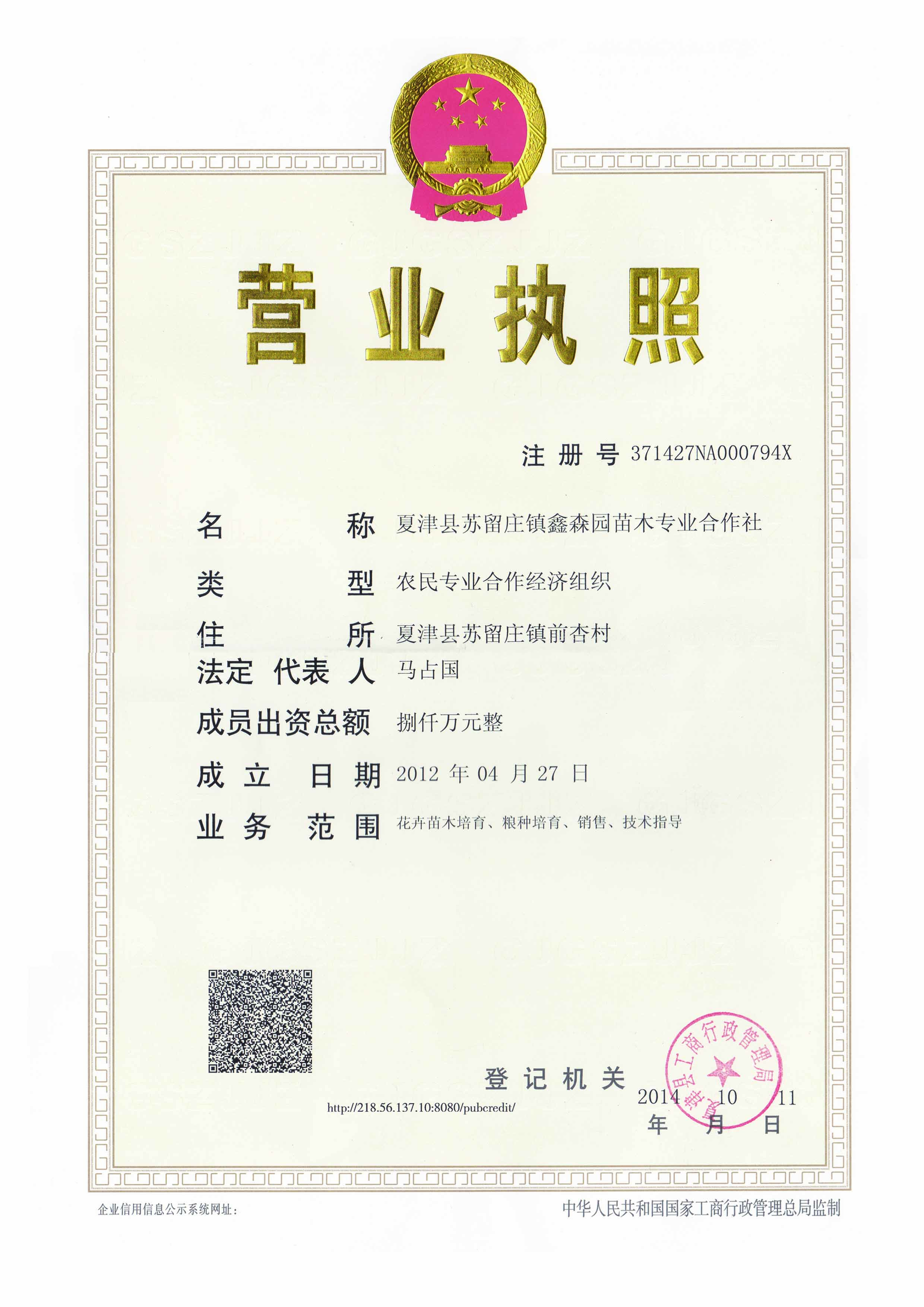 竹柳 竹柳，山東竹柳