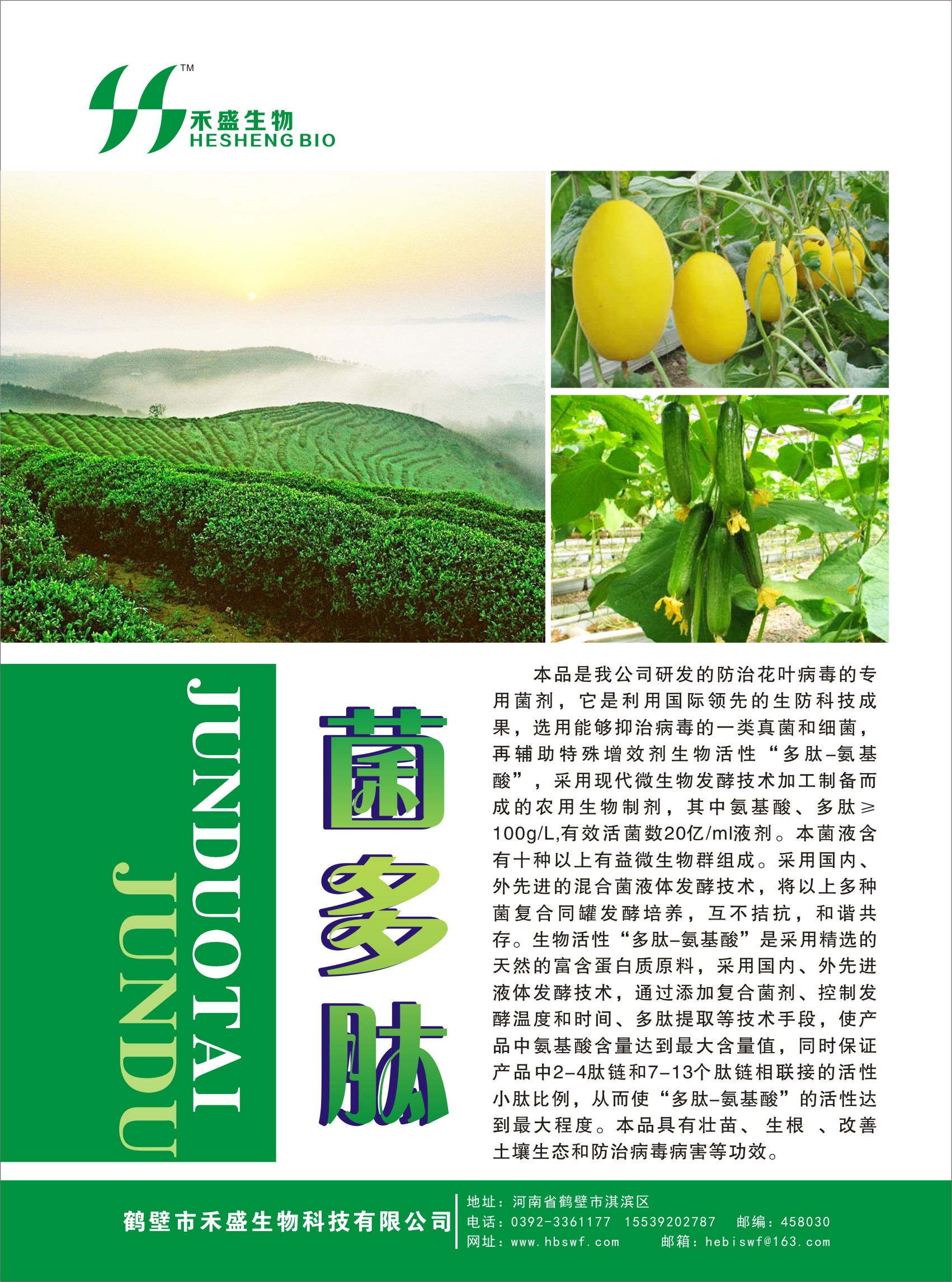 供應(yīng)鶴壁市禾盛 功能菌生物有機(jī)肥菌劑