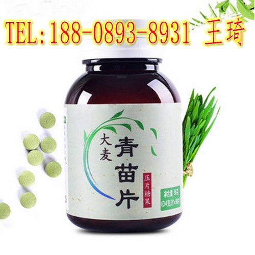 電商大麥青苗片加工貼牌廠家