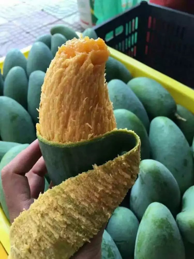 桂七芒 廣西百色田東芒果 桂七芒果新鮮水果供應(yīng)商 桂七芒批發(fā)