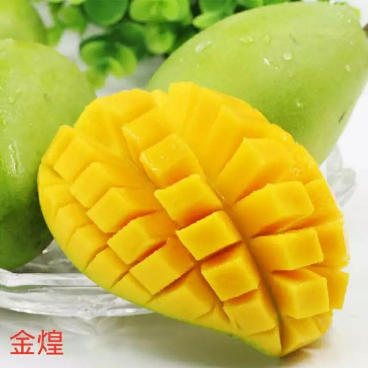 廣西百色青皮芒批發(fā) 青皮芒批發(fā)廠家 青皮芒批發(fā)價格 青皮芒批發(fā)公司 青皮芒批發(fā)電話