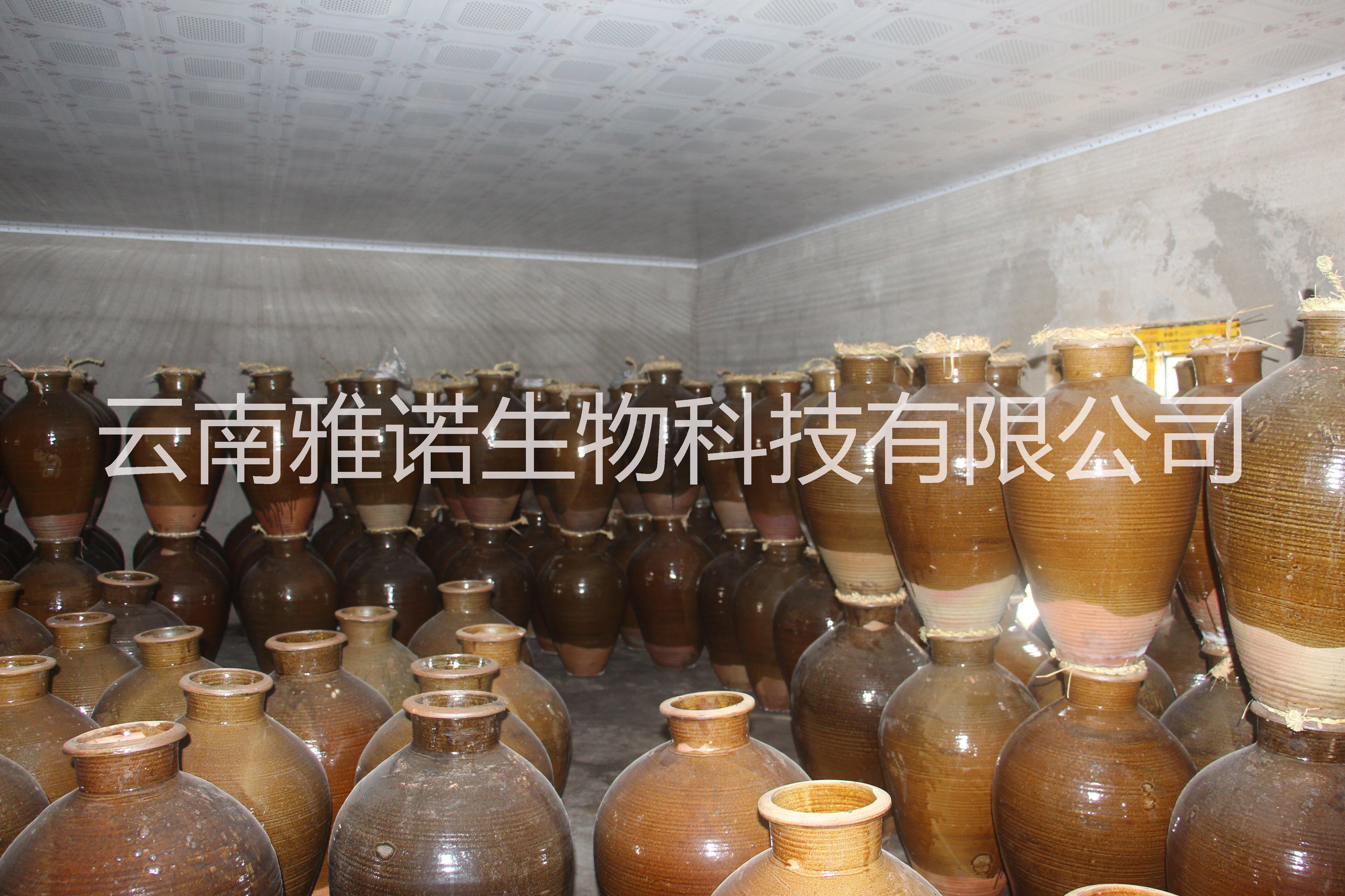純糧食包谷酒小鍋酒銅鍋酒小分子酒傳統(tǒng)工藝地缸發(fā)酵銅鍋蒸餾