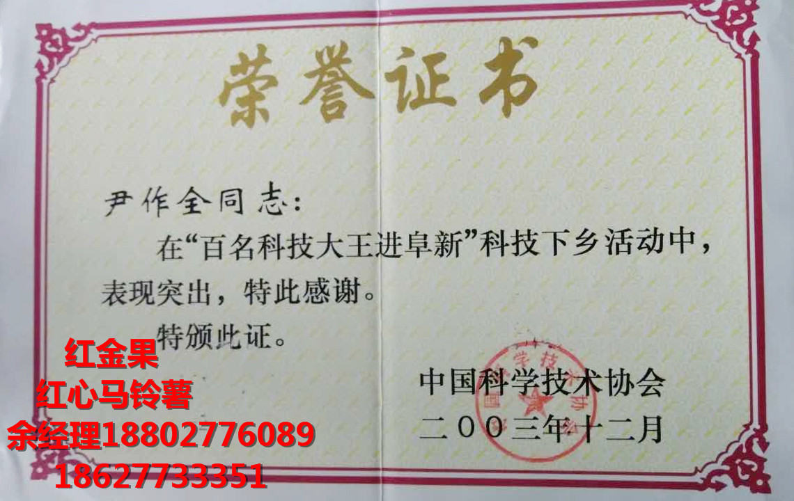 紅心馬鈴薯怎么做好吃