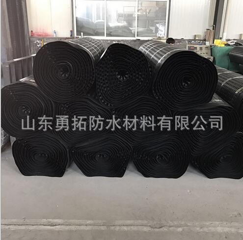 HDPE排水板綠化排水板廠家山東塑料排水板車庫(kù)頂板用排水