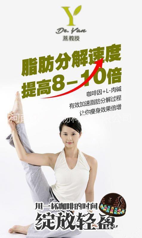 供應(yīng)燕教授 21天全身燃脂咖啡|燕教授*咖啡價格