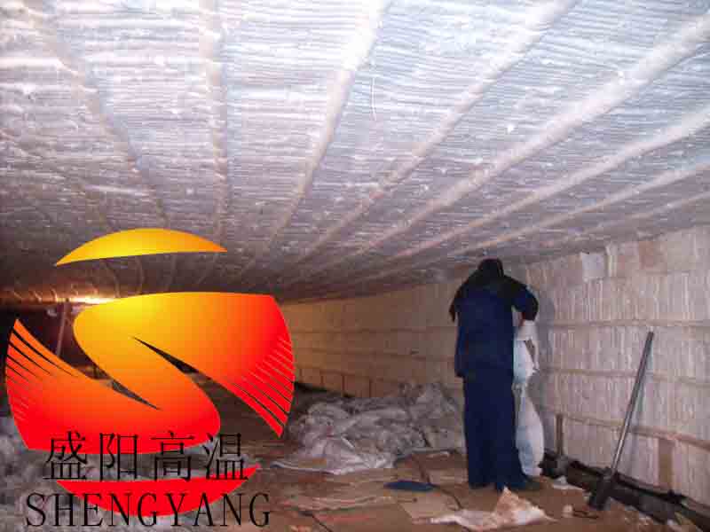 廠家直銷(xiāo)盛陽(yáng)1400型耐高溫隔熱陶瓷纖維模塊