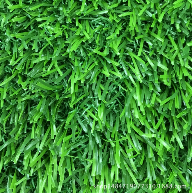 運動場草坪 美創(chuàng)草坪廠家 草坪批發(fā) 足球場*C型草