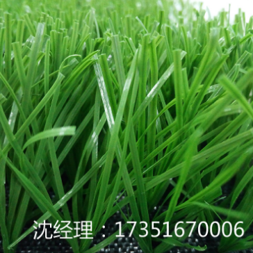 人造草 仿真草坪批發(fā)  人造草價格 人造草坪廠家推薦