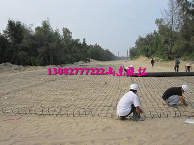 鋼塑格柵廠家 鋼塑格柵 鋼塑格柵價(jià)格 鋼塑格柵 鋼塑格柵 黑龍江鋼塑格柵