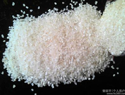 四川益乘豐達(dá)飼料公司現(xiàn)款求購(gòu)高粱 收購(gòu)高粱大米