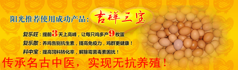 如何使蛋雞多產(chǎn)蛋，為什么要在青年雞階段使用增蛋藥物 復(fù)樂(lè)旺