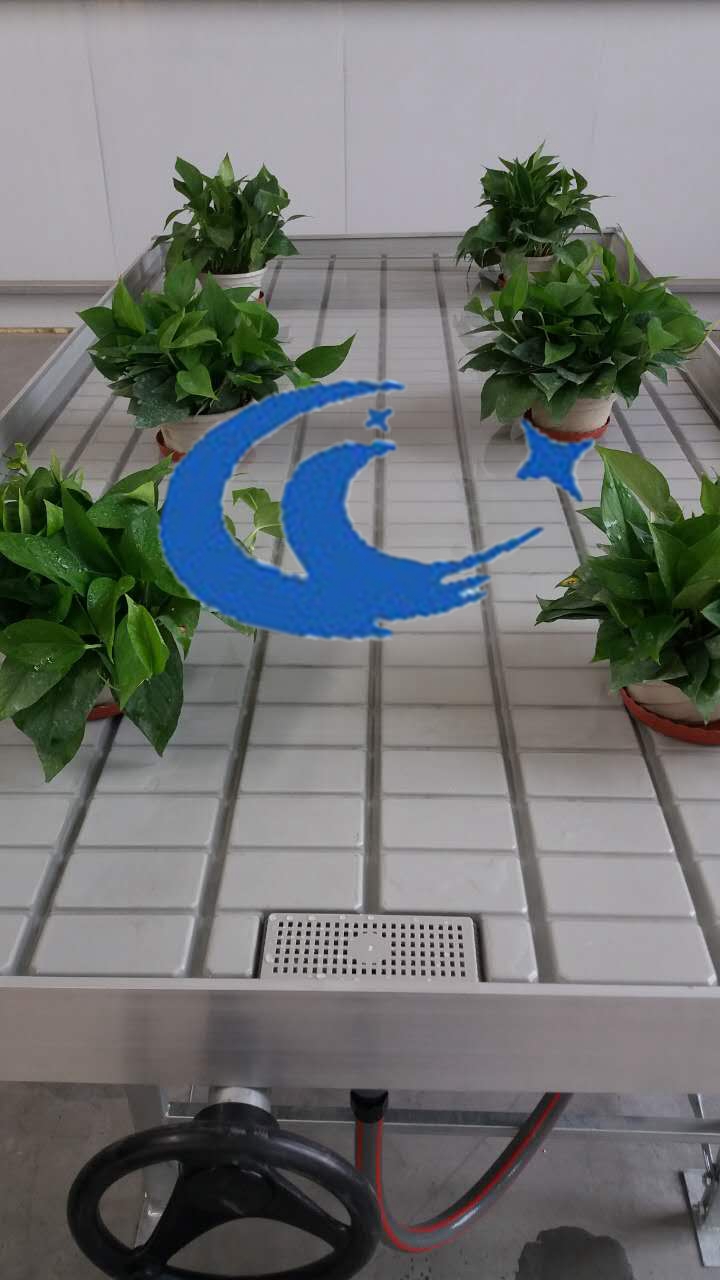 潮汐式灌溉苗床設(shè)計(jì)承受荷載4