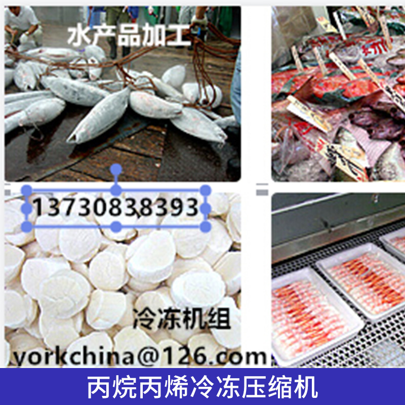 丙烷*冷凍壓縮機(jī)工業(yè)制冷設(shè)備RWFⅡ型螺桿式節(jié)能壓縮機(jī)組