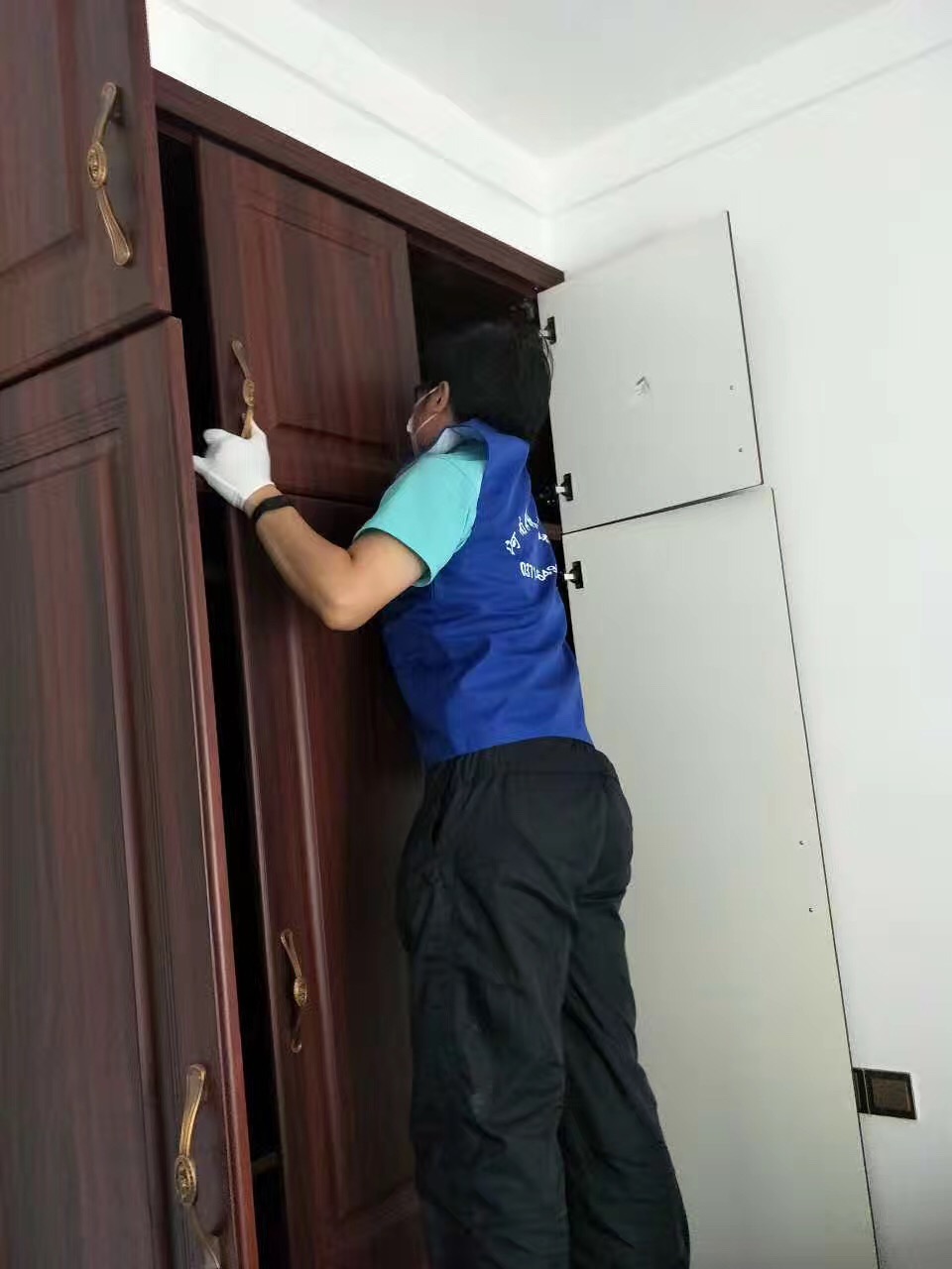 快速去除甲醛的方法