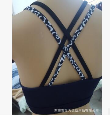 運(yùn)動(dòng)內(nèi)衣防震跑步聚攏女瑜伽背心健身無鋼圈速干撞色KITTY同款