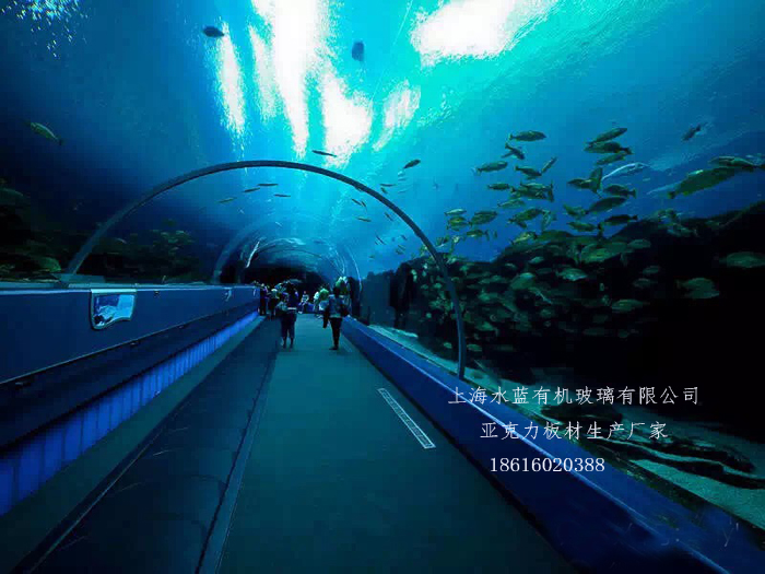 大型亞克力魚(yú)缸廠家 大連亞克力定做大型魚(yú)缸 亞克力視窗工程