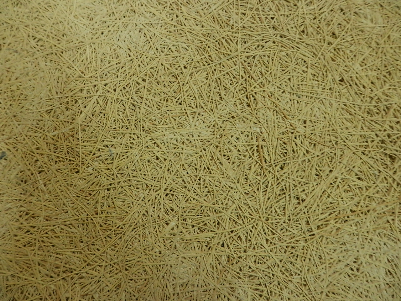 E0級(jí)木絲隔音墻面吸音板 會(huì)議室墻面木絲吸音板 阻燃防火吸聲板