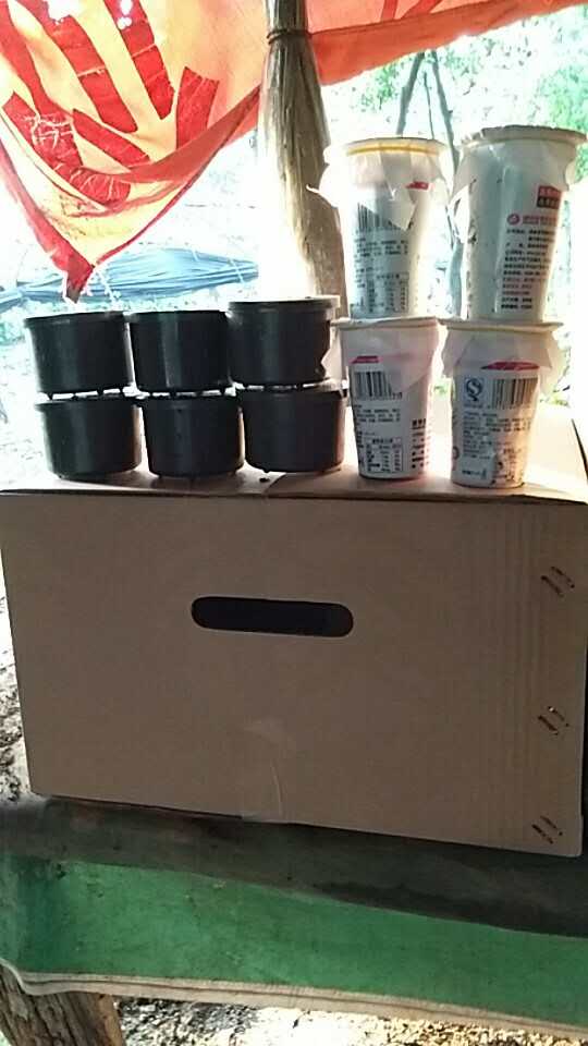 清遠(yuǎn)蚯蚓保鮮盒報(bào)價(jià)@廣州蚯蚓保鮮盒報(bào)價(jià)#湖北蚯蚓保鮮盒報(bào)價(jià)@ 長沙蚯蚓保鮮盒報(bào)價(jià)