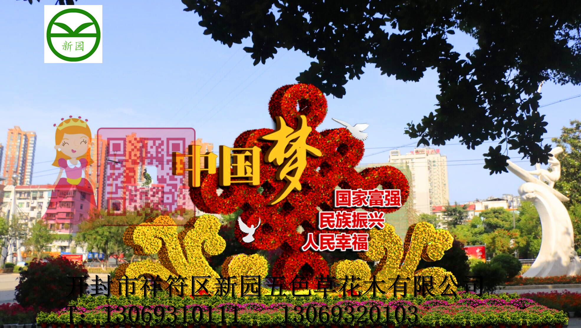 向陽花五色草造型 向陽花立體造型