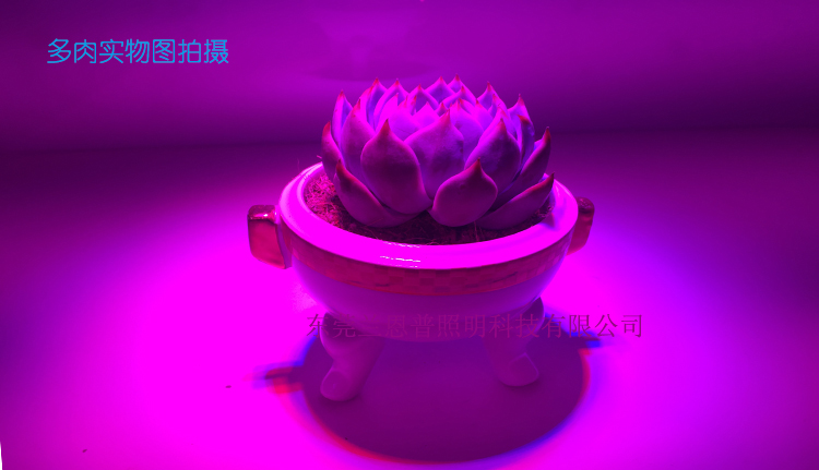 廣東 LED植物補(bǔ)光燈生產(chǎn)廠家 東莞優(yōu)質(zhì).LED植物補(bǔ)光燈批發(fā) 新款LED植物補(bǔ)光燈