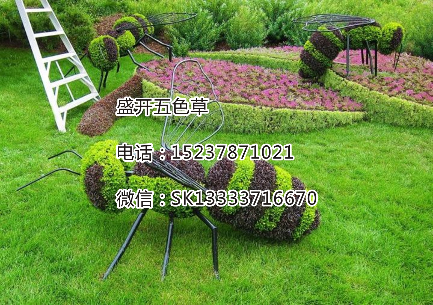 可以反復(fù)使用－立體花壇植物，立體花壇，新型立體花壇