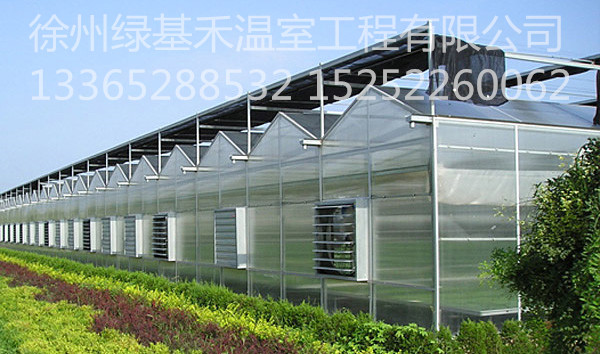 溫室大棚廠家溫室大棚安裝蔬菜大棚日光溫室連棟溫室