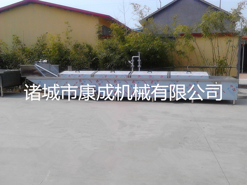 金針菇殺青機蘑菇漂燙機香菇殺青機