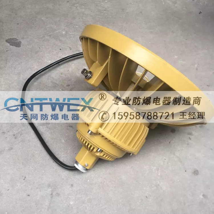 BLED110 300W吸頂式LED燈220V防爆LED照明燈