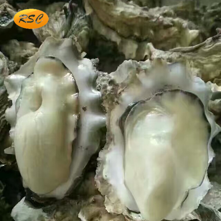 海鮮提取物蠔汁  青島日昇昌蠔汁生產(chǎn)廠家