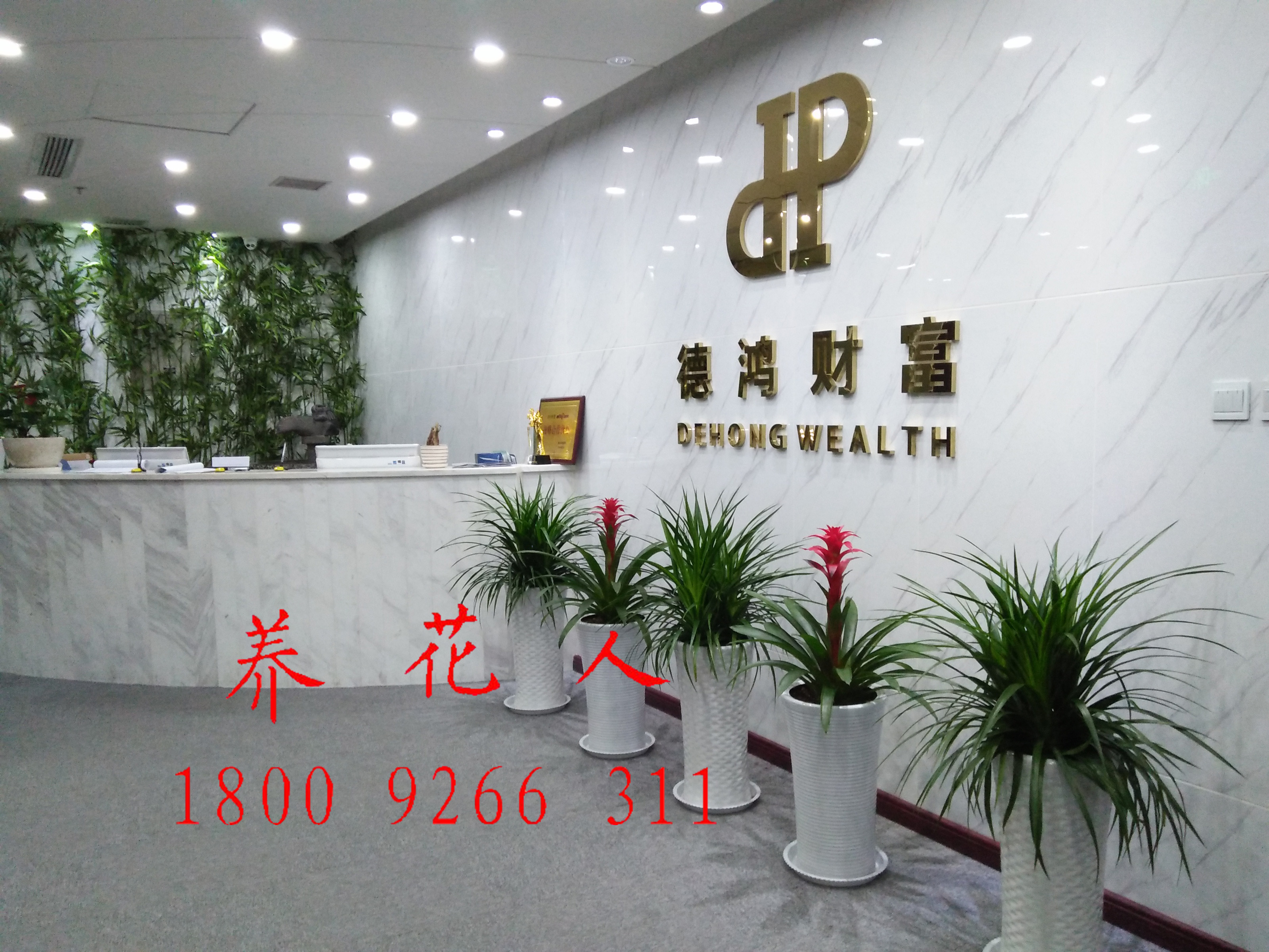 西安租花 西安花卉公司 西安花卉