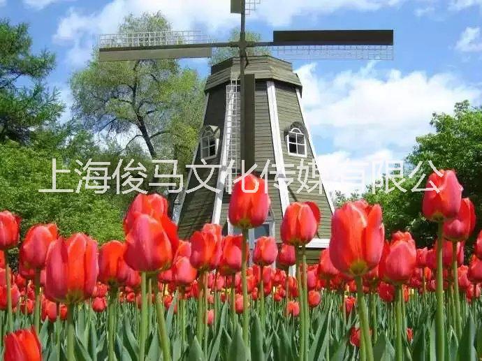 荷蘭風(fēng)車展覽租賃 荷蘭風(fēng)車展覽租賃 大型風(fēng)車節(jié)布置